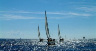 Segeln in Sardinien: Ein Traum für Yachting-Liebhaber  