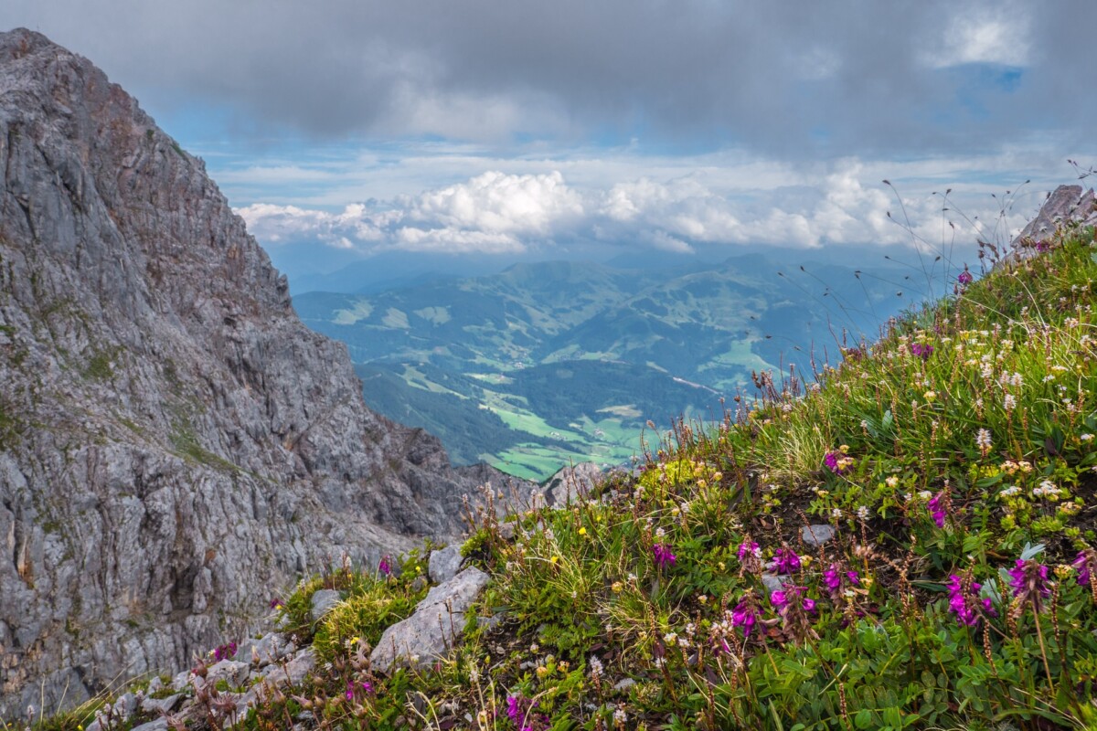 Sommerurlaub im Salzburger Land – entdecke die Vorzüge…